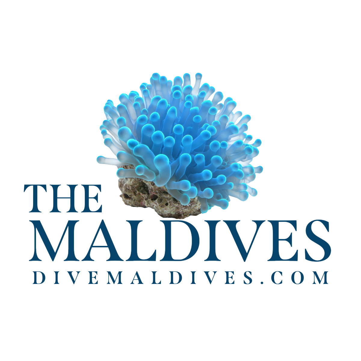 DiveMaldives.com-logo